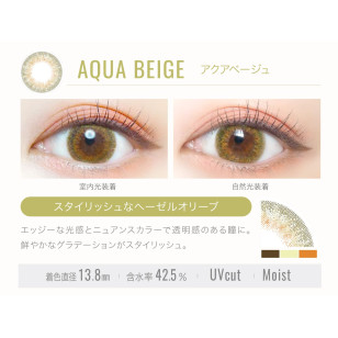 Ever Color 1day LUQUAGE 11選色 日拋 每盒10片